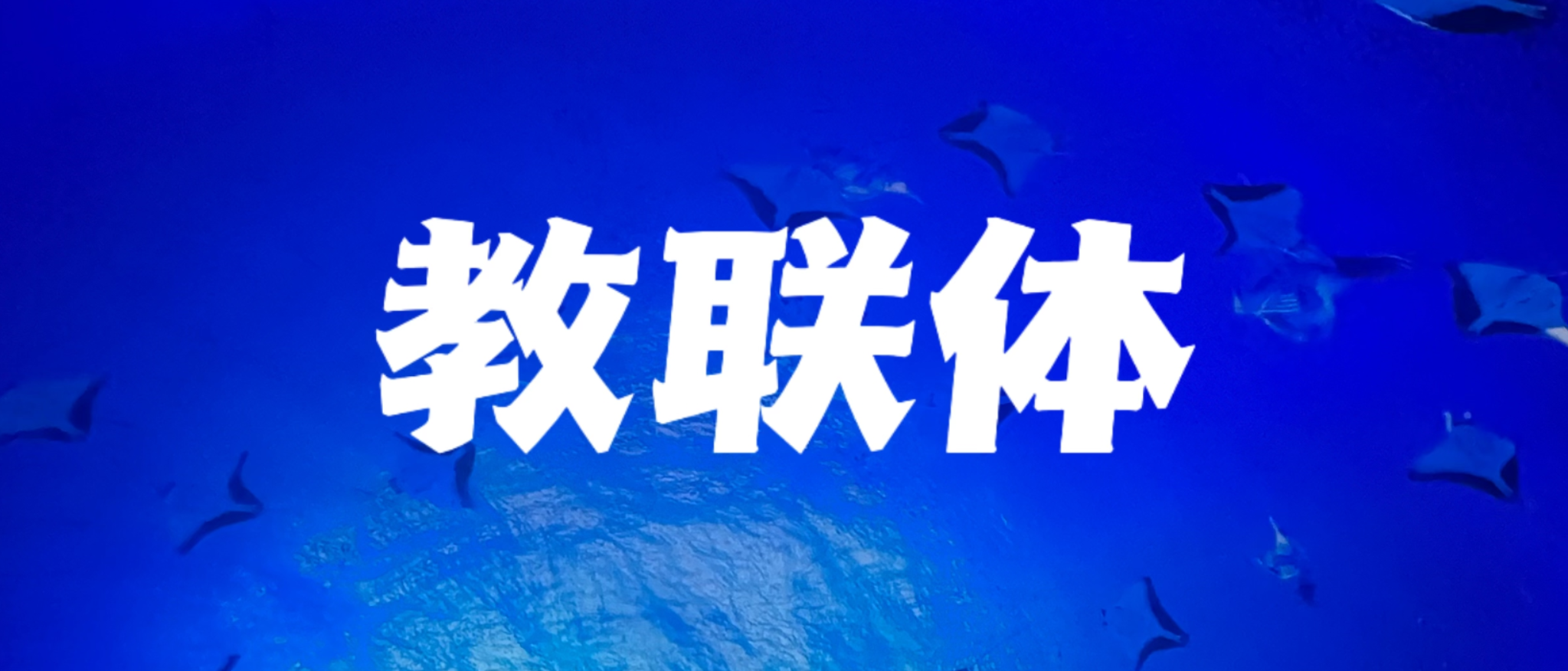 教育部等十七部门联合印发《家校社协同育人“教联体”工作方案》