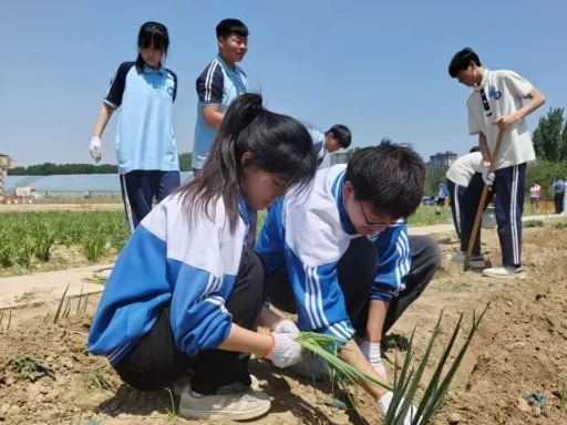 实践案例｜河南洛阳：深化家校社协作 共铸成长生态圈